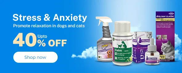 Strees & Anxiety
