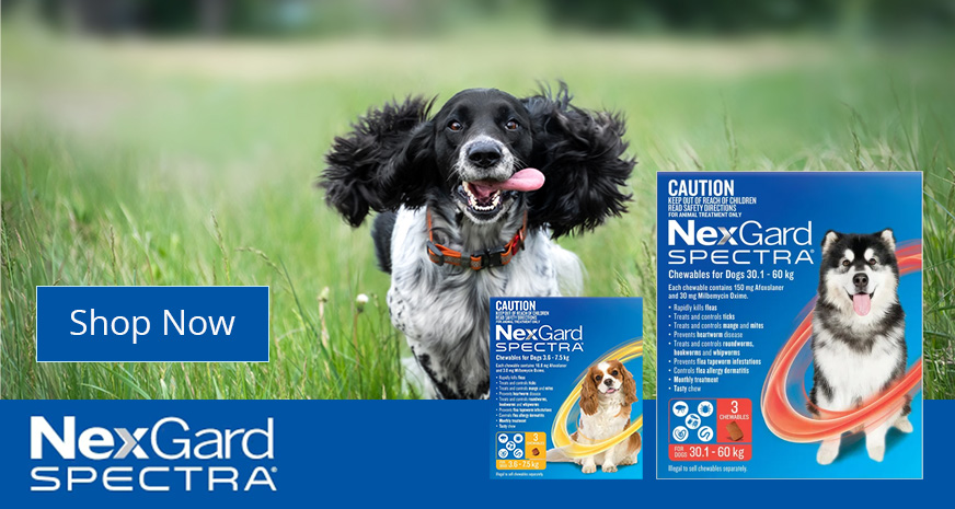 Nexgard
