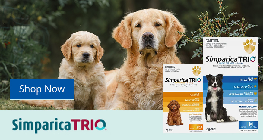 Simparica TRIO