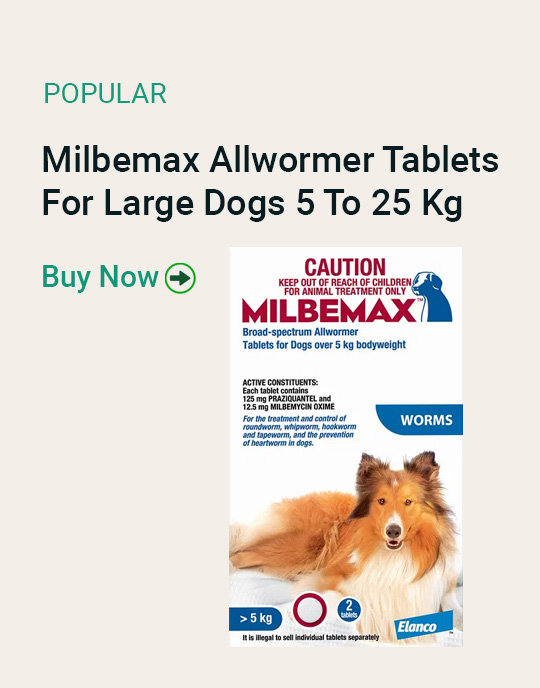 Milbemax Allwormer Tablets For Large Dogs 5 To 25 Kg Pet Talk