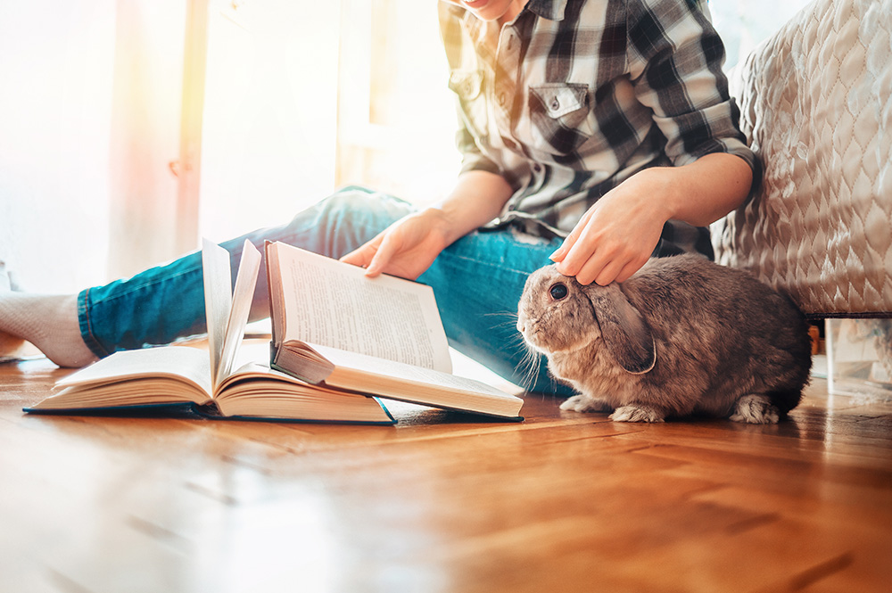 Pet Alternatives to Dogs and Cats