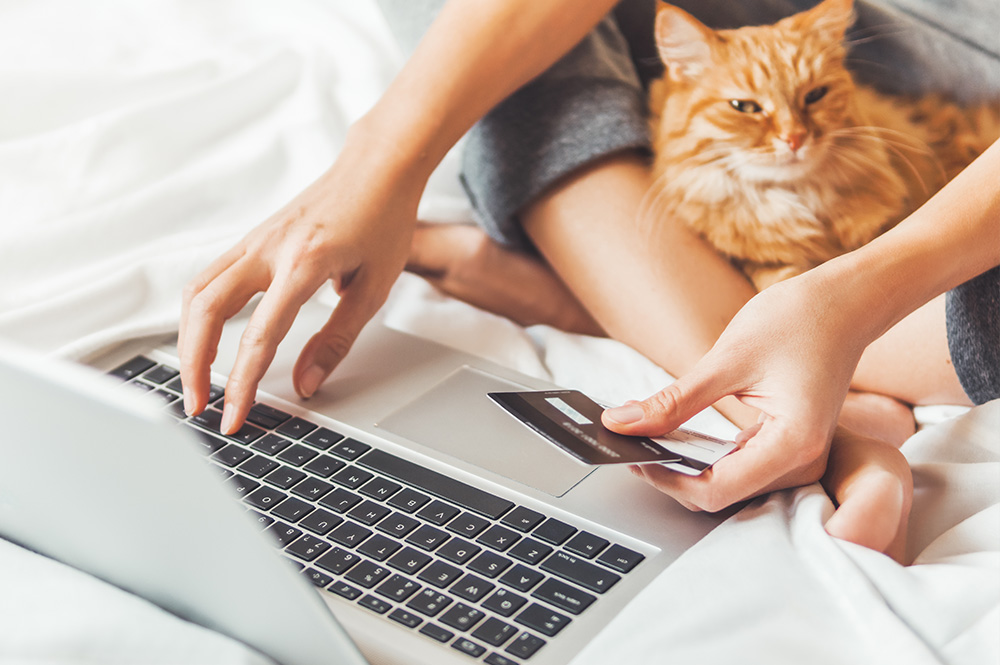 Pet Care On a Budget